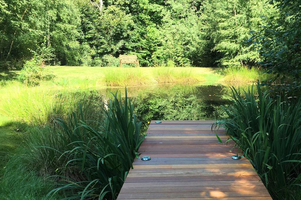 Appartamento Golf.Intersaxonia Zschopau Esterno foto